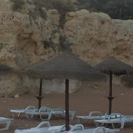 Apartment, Next To The With Swimming Pool Lejlighed